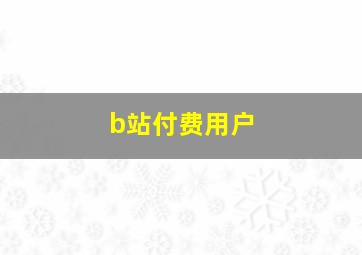 b站付费用户