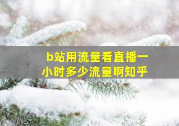 b站用流量看直播一小时多少流量啊知乎