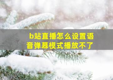 b站直播怎么设置语音弹幕模式播放不了