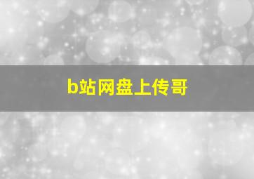 b站网盘上传哥