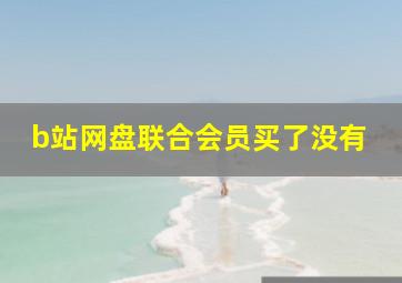 b站网盘联合会员买了没有