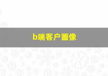 b端客户画像