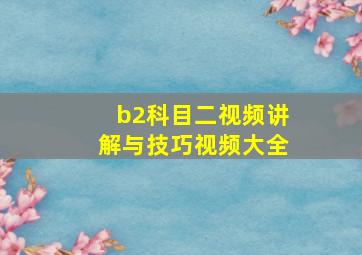 b2科目二视频讲解与技巧视频大全