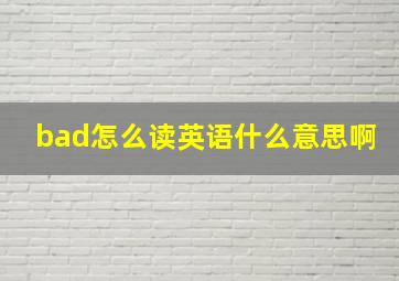 bad怎么读英语什么意思啊