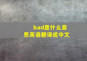 bad是什么意思英语翻译成中文