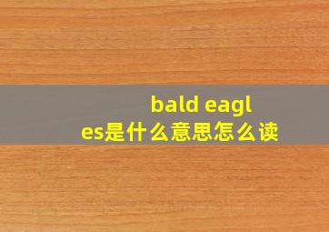 bald eagles是什么意思怎么读