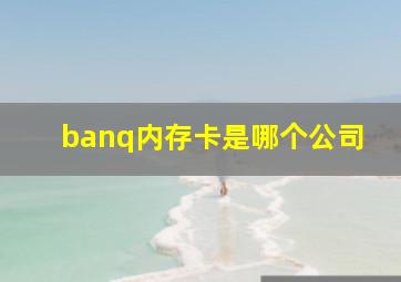 banq内存卡是哪个公司