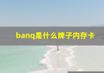 banq是什么牌子内存卡