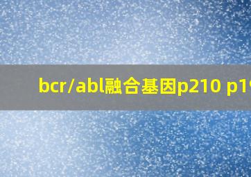 bcr/abl融合基因p210 p190