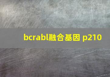 bcrabl融合基因 p210