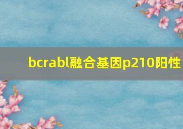 bcrabl融合基因p210阳性