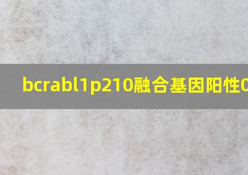 bcrabl1p210融合基因阳性0.58