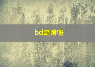 bd是啥呀