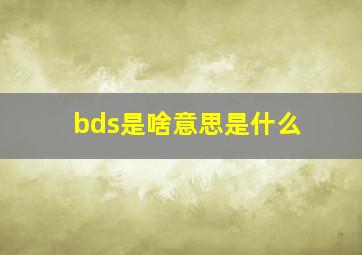 bds是啥意思是什么