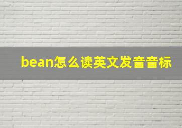 bean怎么读英文发音音标