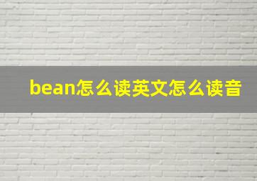 bean怎么读英文怎么读音