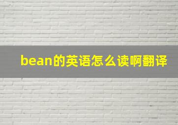 bean的英语怎么读啊翻译