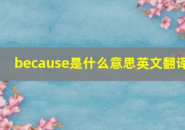 because是什么意思英文翻译