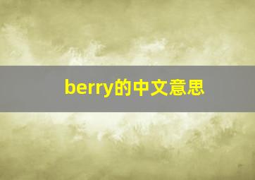 berry的中文意思