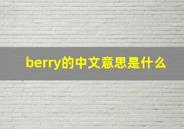 berry的中文意思是什么