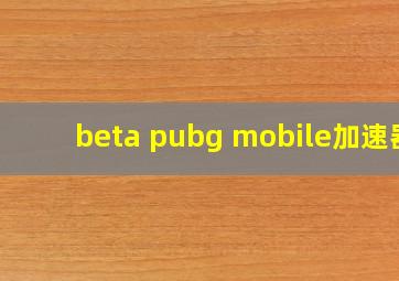 beta pubg mobile加速器