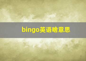 bingo英语啥意思