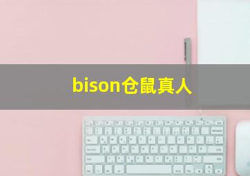 bison仓鼠真人