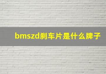 bmszd刹车片是什么牌子