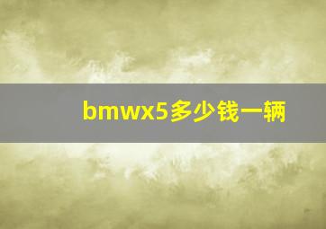 bmwx5多少钱一辆