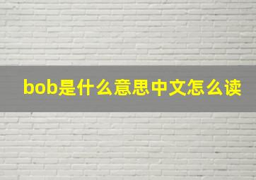 bob是什么意思中文怎么读