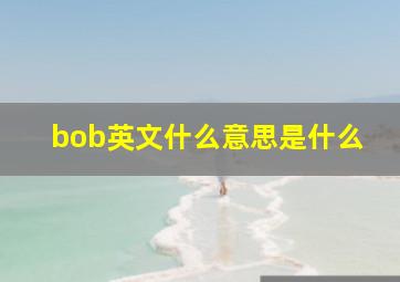 bob英文什么意思是什么