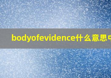 bodyofevidence什么意思中文