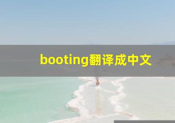 booting翻译成中文