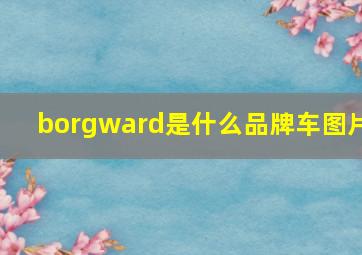 borgward是什么品牌车图片