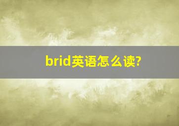 brid英语怎么读?