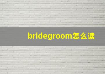 bridegroom怎么读