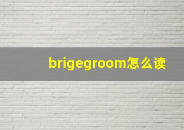 brigegroom怎么读