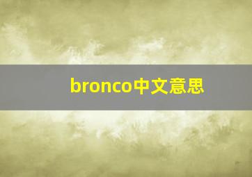 bronco中文意思