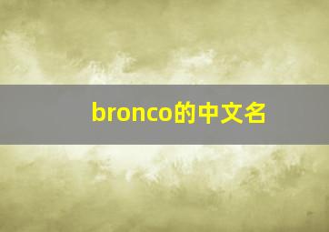 bronco的中文名