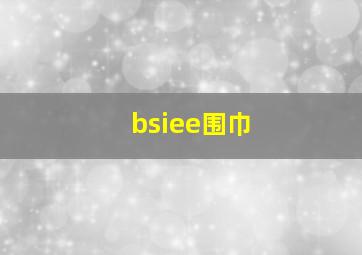 bsiee围巾