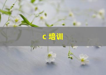 c 培训