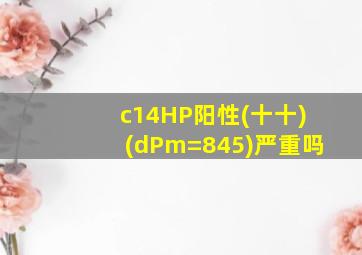 c14HP阳性(十十)(dPm=845)严重吗