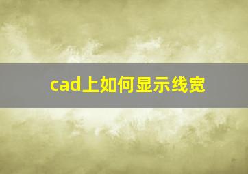 cad上如何显示线宽