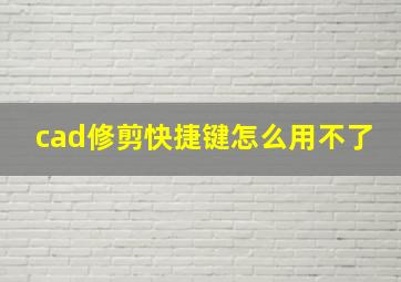 cad修剪快捷键怎么用不了