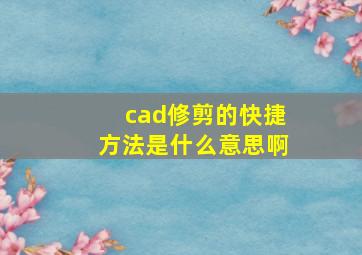 cad修剪的快捷方法是什么意思啊