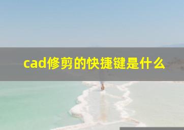 cad修剪的快捷键是什么