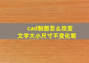 cad制图怎么改变文字大小尺寸不变化呢