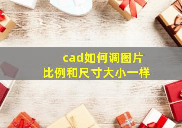 cad如何调图片比例和尺寸大小一样