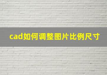 cad如何调整图片比例尺寸