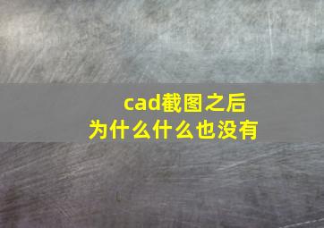 cad截图之后为什么什么也没有